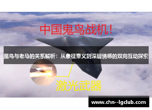 魔鸟与老马的关系解析：从象征意义到深层情感的双向互动探索