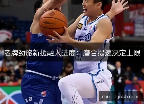 老牌劲旅新援融入进度：磨合提速决定上限